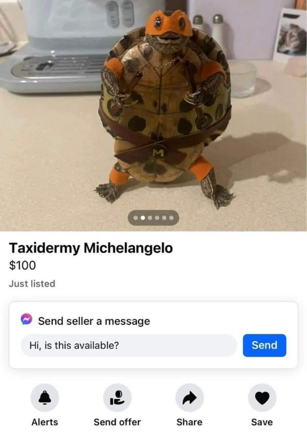 Funny Memes (22 pics)