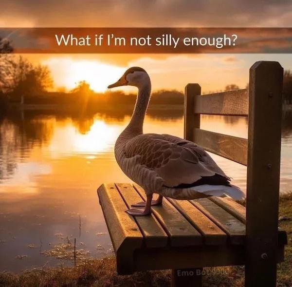 Random Jokes (27 pics)