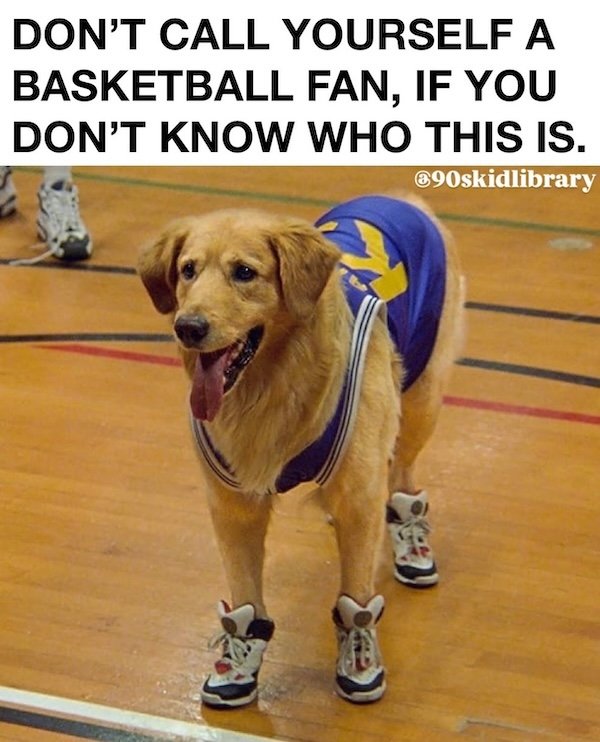 Nostalgic Memes (24 pics)