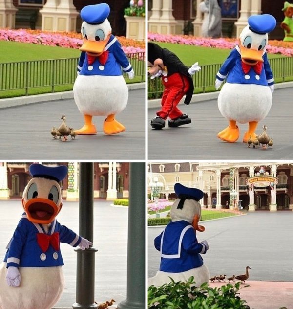 Funny Photos From Amusement Parks (29 pics)