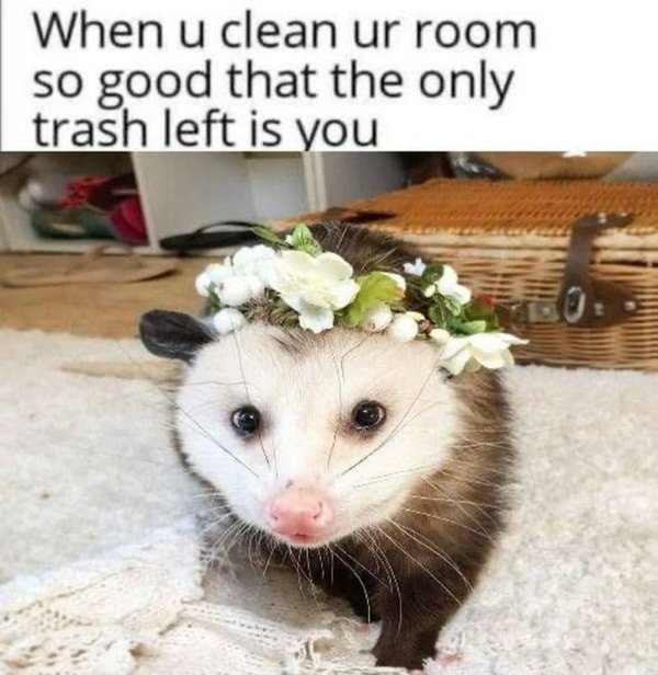 Funny Memes (22 pics)