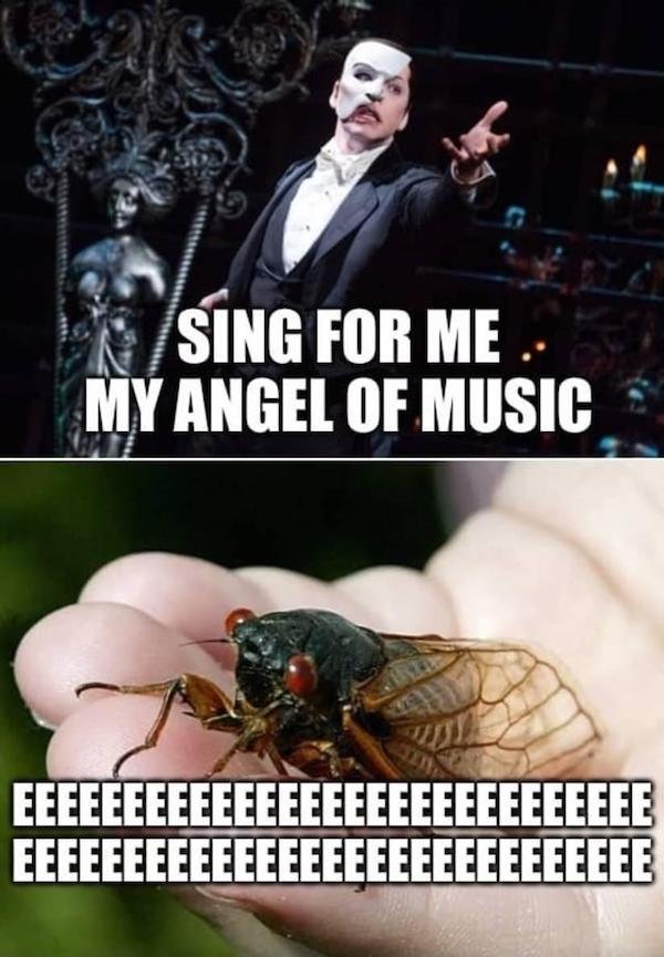 Random Jokes (27 pics)