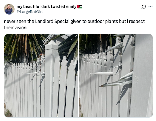 Terrible Landlords (23 pics)