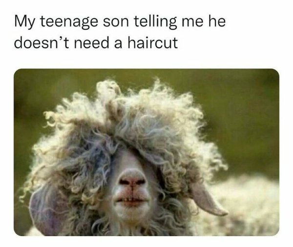 Funny Memes (22 pics)