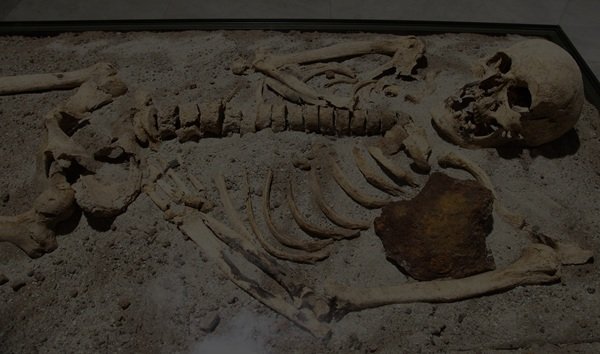 Creepy Facts (14 pics)
