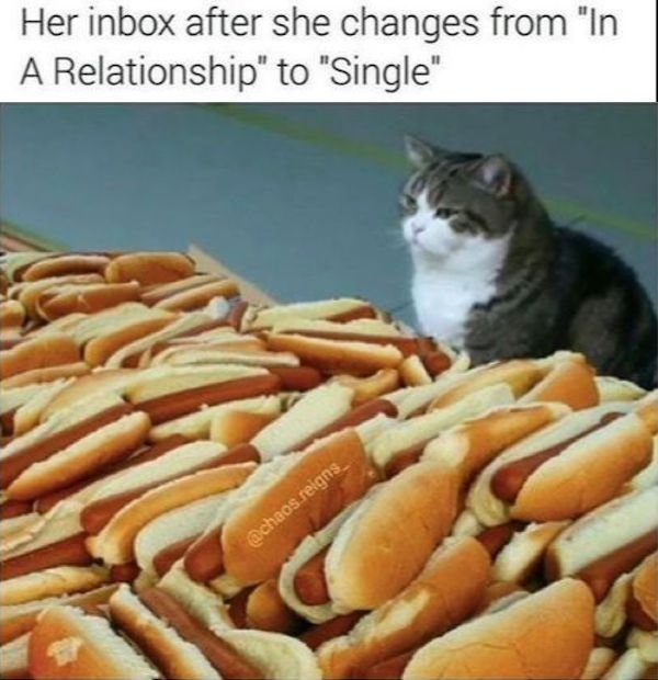 Random Jokes (27 pics)