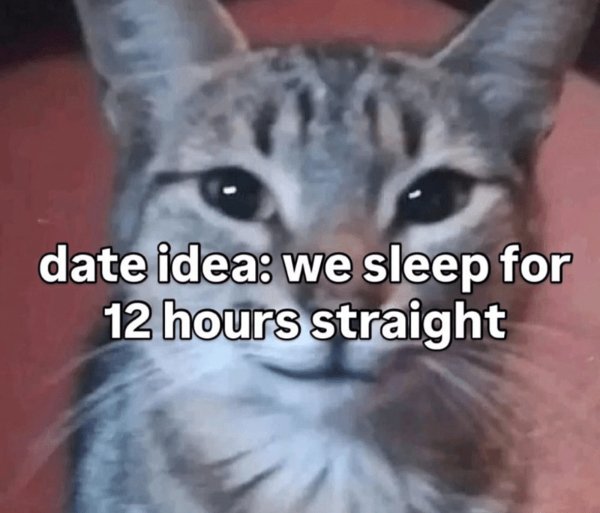 Memes And Photos For Cats Lovers (28 pics)