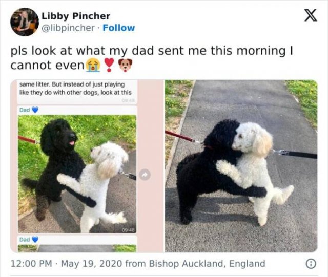 Positive Posts For A Good Mood (22 pics)