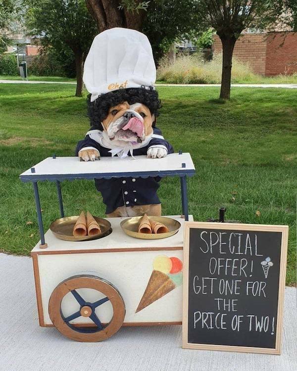 Resourceful People (15 pics)