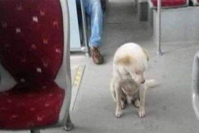 Positive Posts For A Good Mood (22 pics)