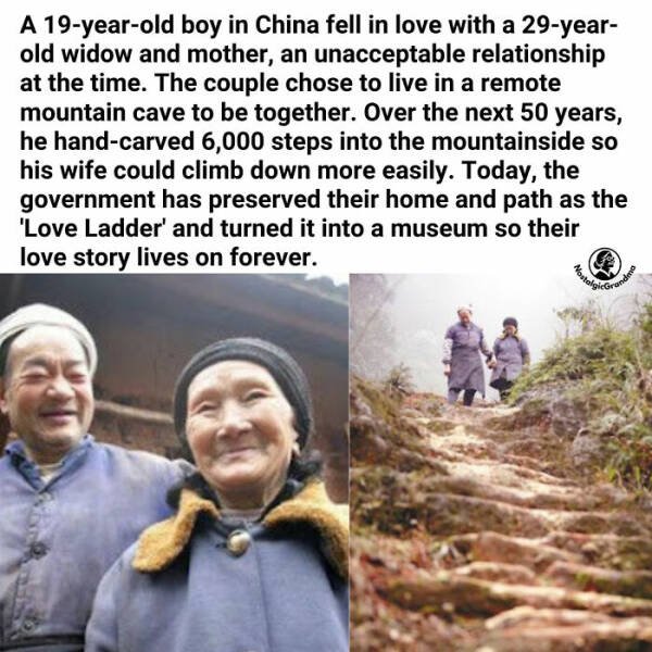Positive Posts For A Good Mood (22 pics)