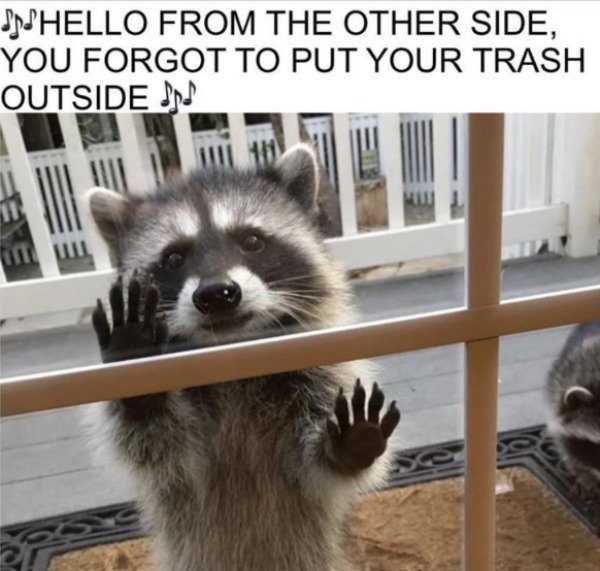 Funny Memes (25 pics)