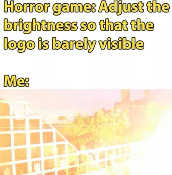 Memes For Gamers (31 pics)