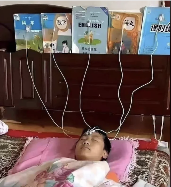 What Is Going On Here? (29 pics)