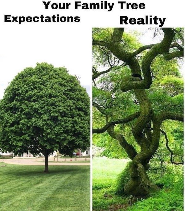Funny Memes (25 pics)