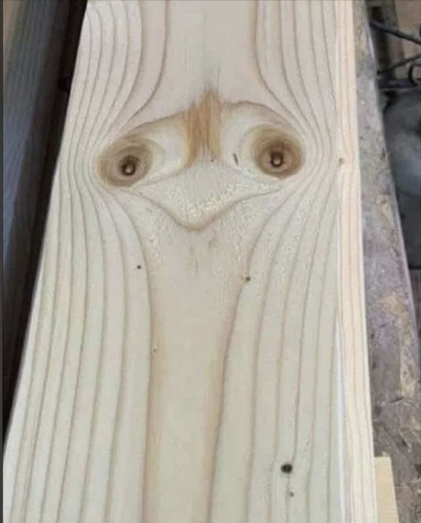 What Is Going On Here? (29 pics)