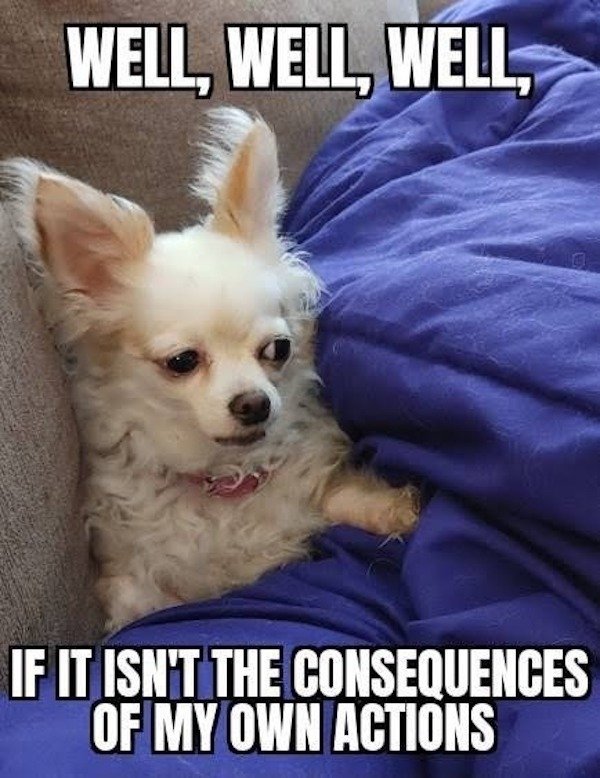 Funny Memes (25 pics)