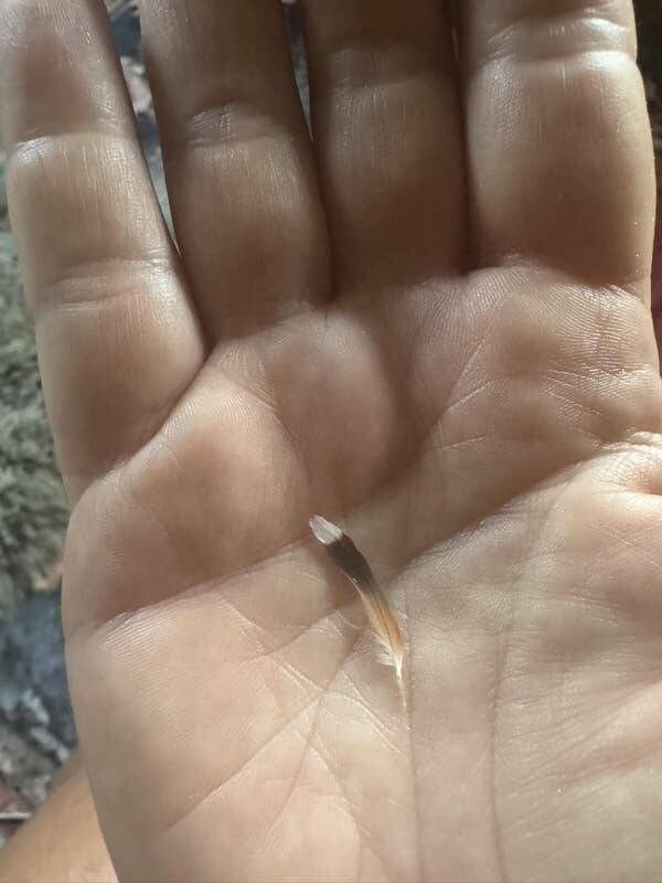 Interesting Finds And Discoveries (23 pics)