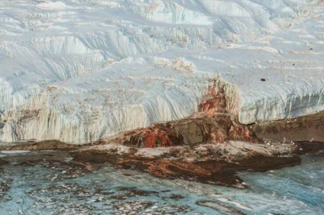 Interesting Finds And Discoveries (23 pics)