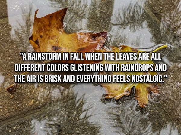 Life Is Beautiful (20 pics)
