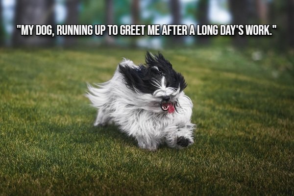 Life Is Beautiful (20 pics)