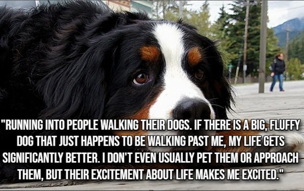 Life Is Beautiful (20 pics)