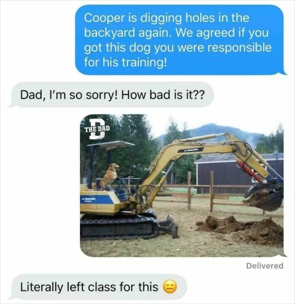 Great Parents (22 pics)