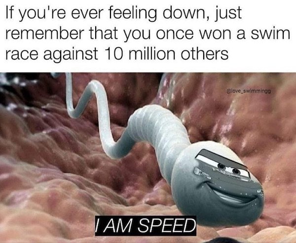 Funny Memes (28 pics)