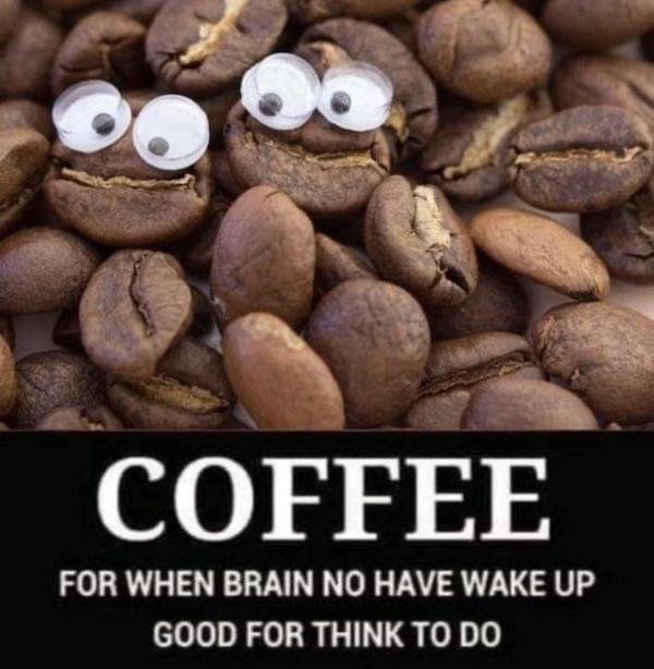 Funny Memes (28 pics)