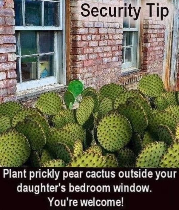 Funny Memes (28 pics)