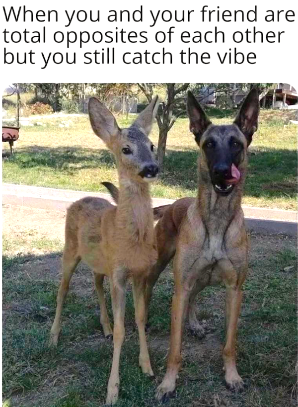 Funny Memes (28 pics)