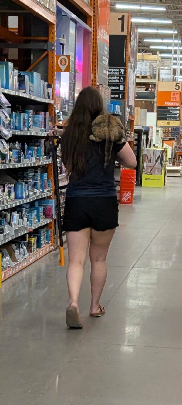 Interesting Finds  (25 pics)