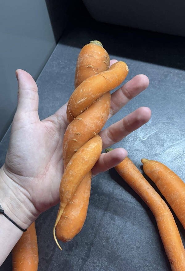 Interesting Finds  (25 pics)