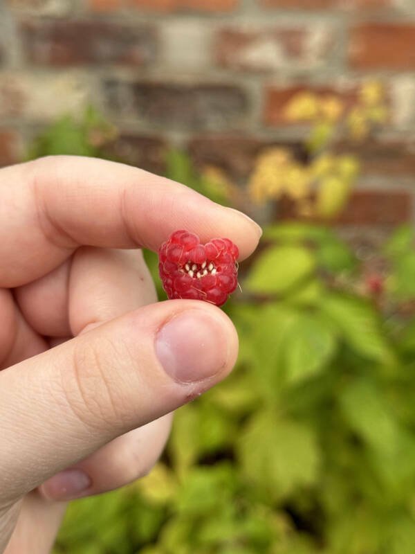 Interesting Finds  (25 pics)