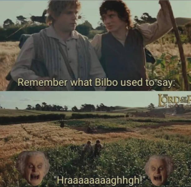 Memes For ''The Lord Of The Rings'' Fans (14 pics)