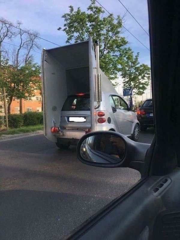 What Is Going On Here? (42 pics)