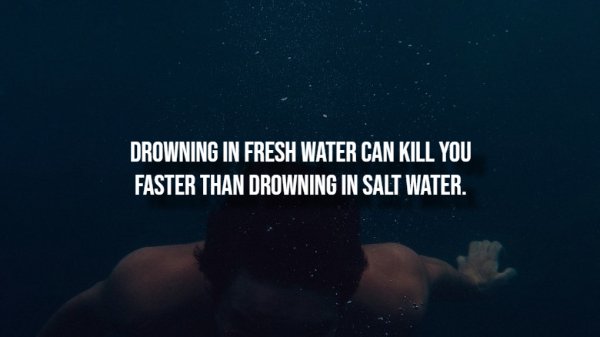 Creepy Facts (14 pics)