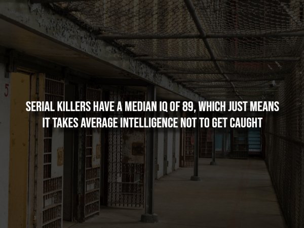 Creepy Facts (14 pics)