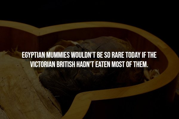Creepy Facts (14 pics)