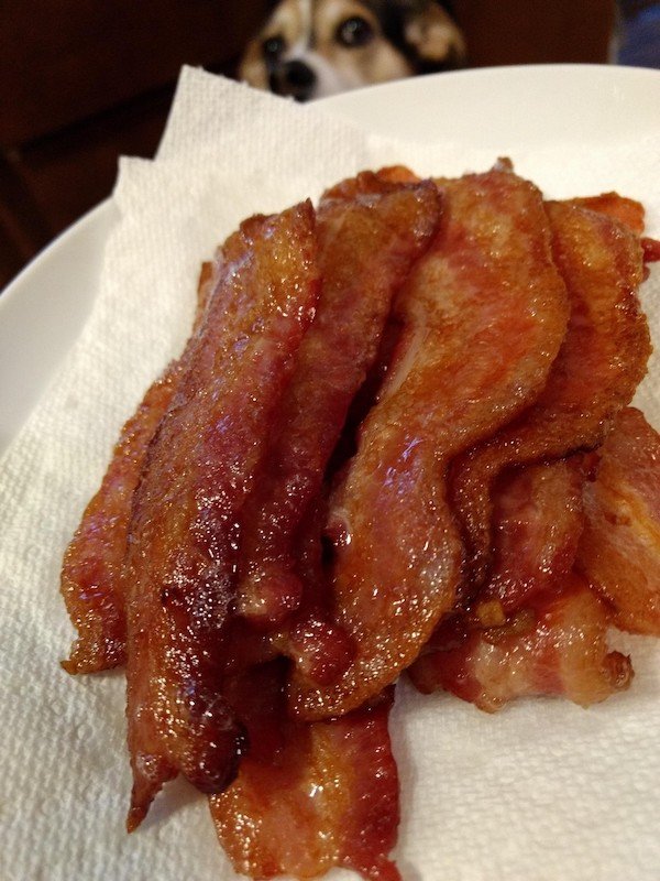 Funny Photos For Dogs Lovers (29 pics)