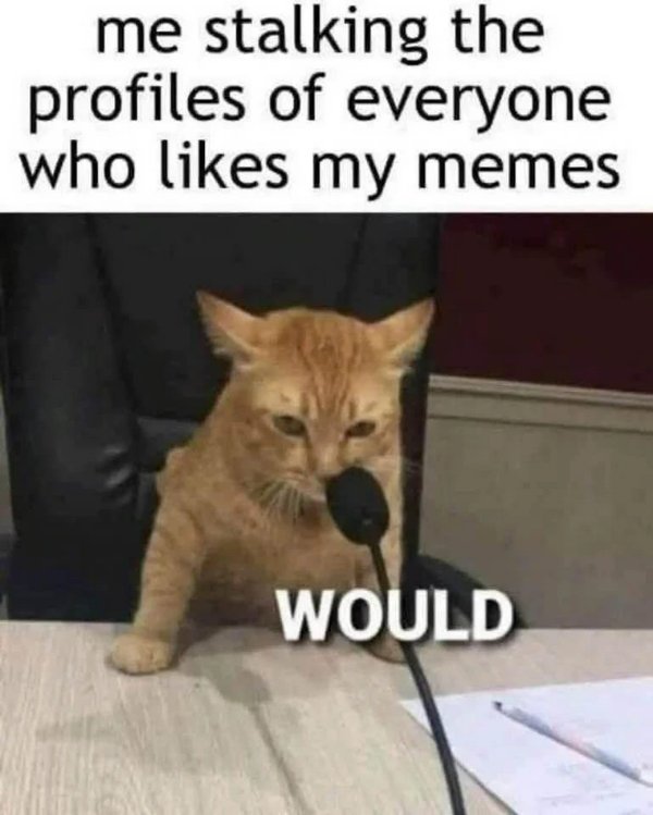 Funny Memes (31 pics) Funny Memes (31 pics)