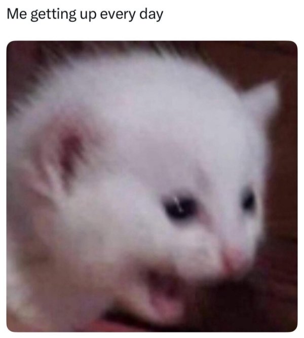 Funny Memes (31 pics) Funny Memes (31 pics)