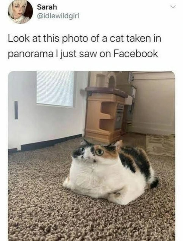 Funny Memes (31 pics) Funny Memes (31 pics)