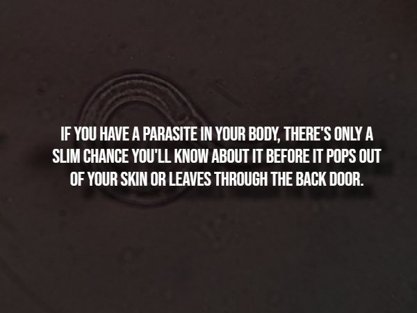 Creepy Facts (14 pics)