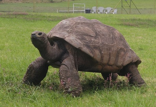 Random Knowledges (19 pics)