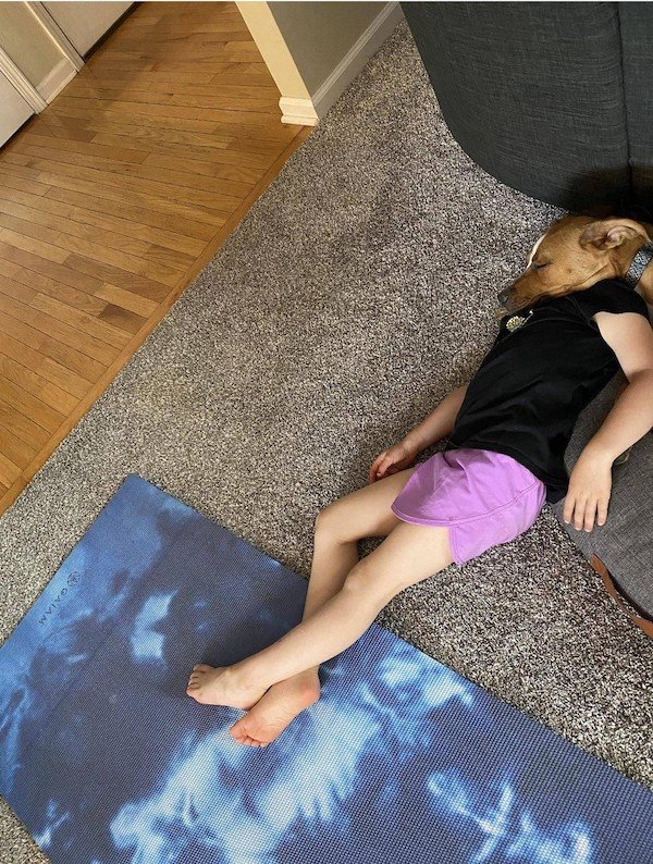 Funny Photos For Dogs Lovers (29 pics)