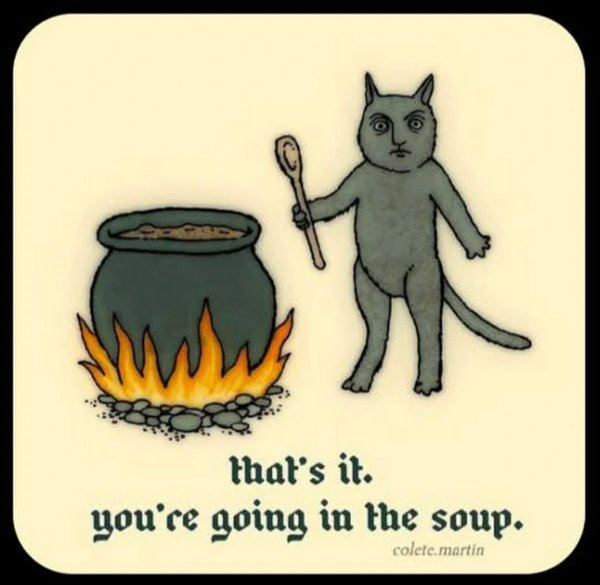 Funny Memes (31 pics)