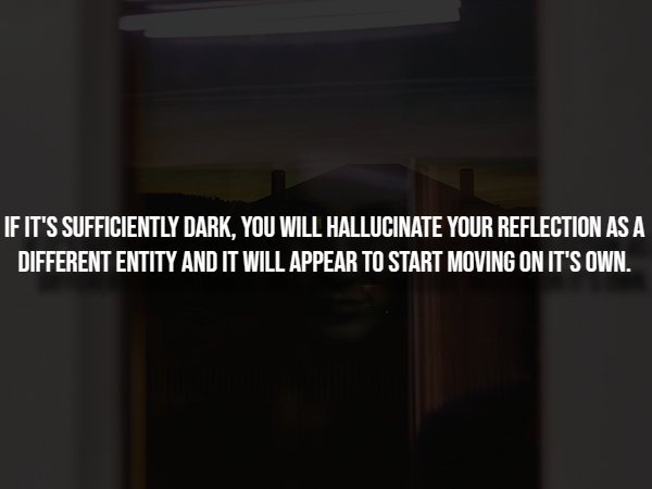 Creepy Facts (14 pics)