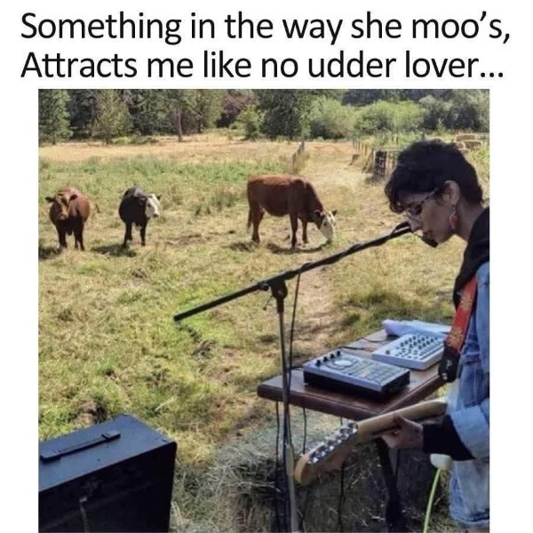 Funny Memes (31 pics) Funny Memes (31 pics)