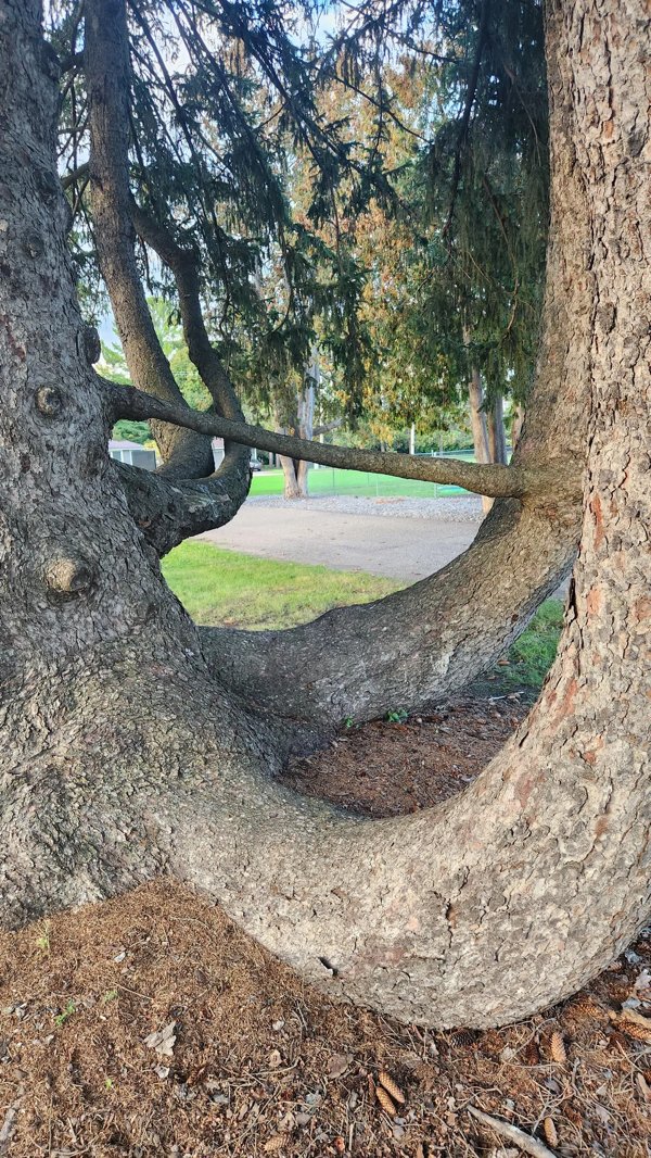 Interesting Finds (23 pics)